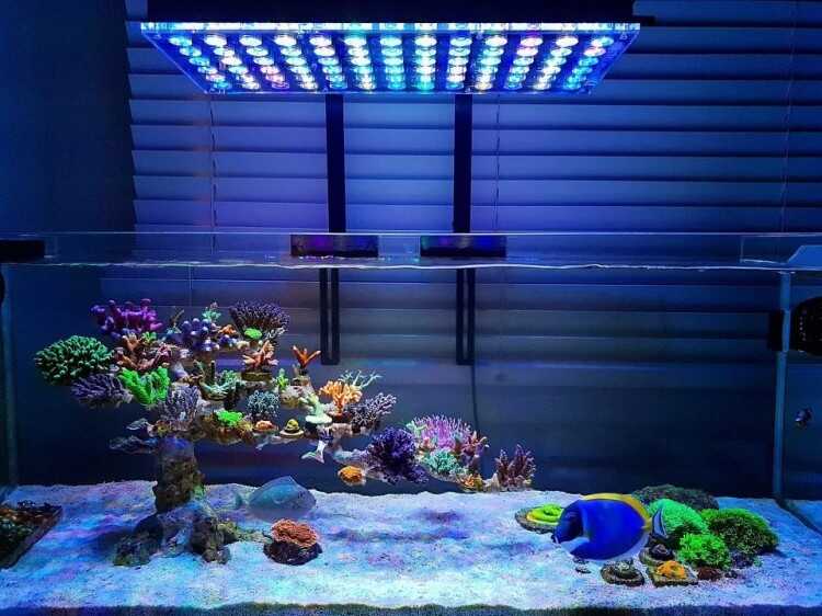 SMT Machine aquarium-led-light