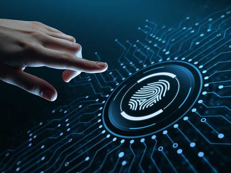 Biometric Solutions